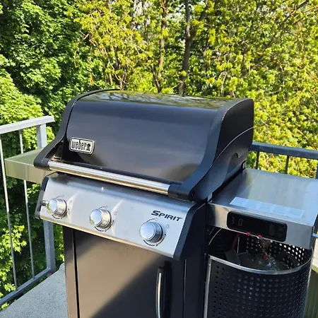 Daire Tropengefluester Penthouse In Hof, Whirlpool, Balkon, Webergrill, Digital Checkin, Parkplatz, Wlan330mbit Hof (Bavaria)